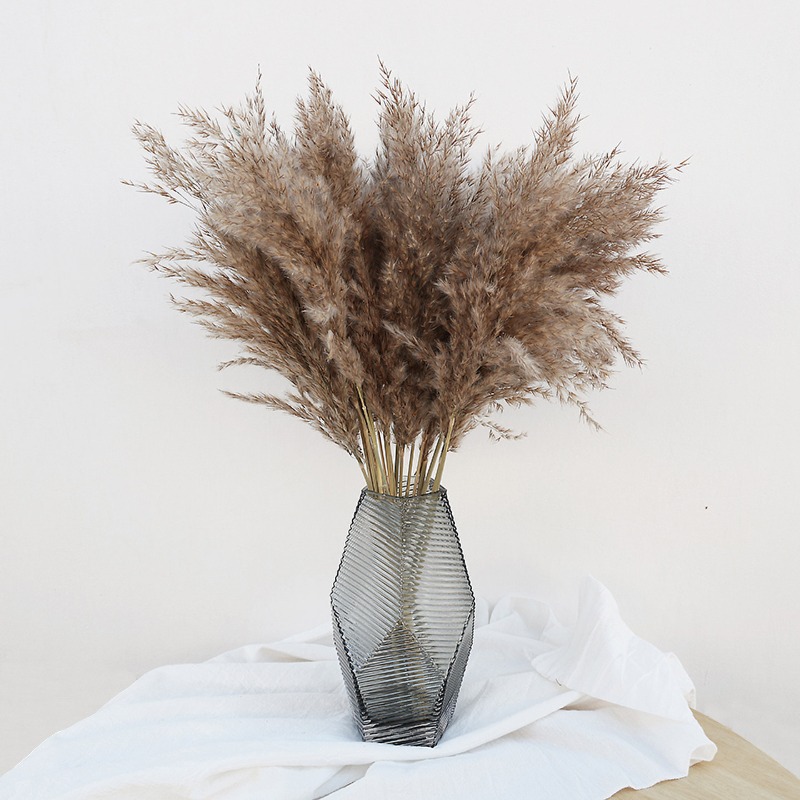 Pampas Grass Decor - 10개 다채로운 천연 갈대 팜파스 그래스