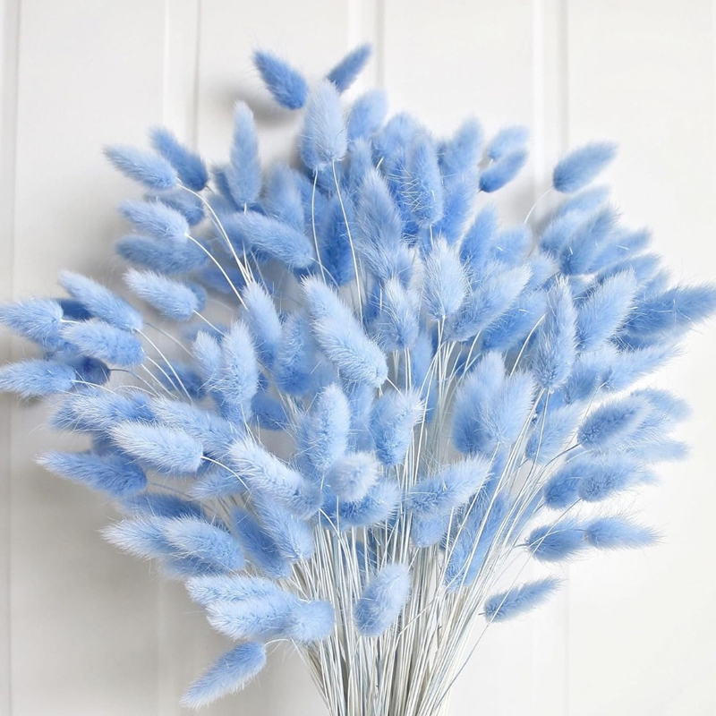 Pampas Grass Decor - 100PCS 블루 토끼 꼬리 잔디 토끼