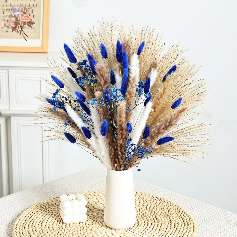70 줄기 블루 푹신한 토끼 꼬리 팜파스 잔디 묶음 말 - Pampas Grass Decor 리뷰 및 가격