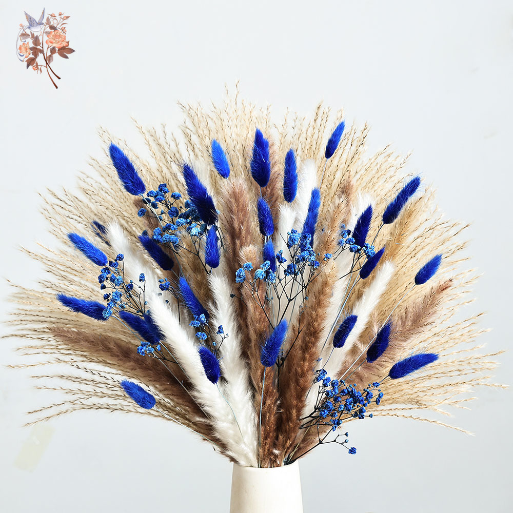 70 줄기 블루 푹신한 토끼 꼬리 팜파스 잔디 묶음 말 - Pampas Grass Decor 리뷰 및 가격