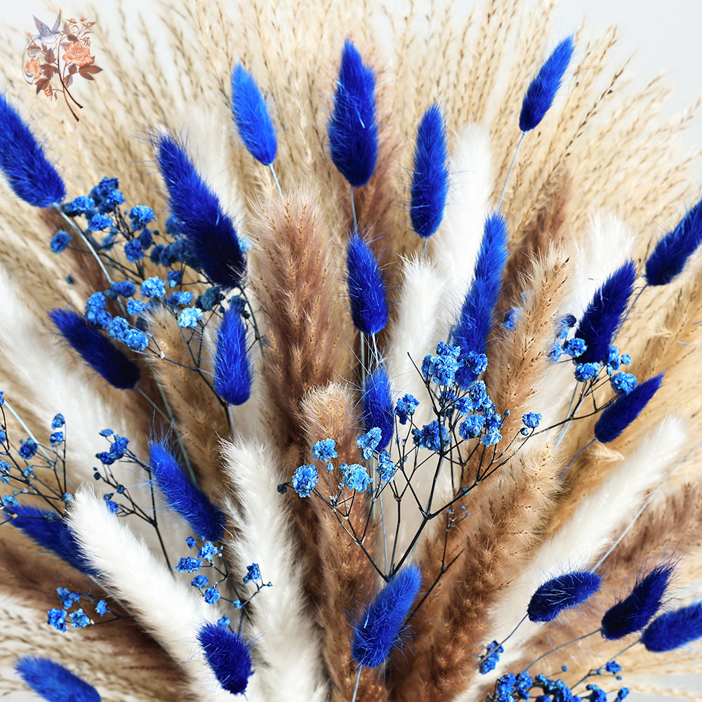 70 줄기 블루 푹신한 토끼 꼬리 팜파스 잔디 묶음 말 - Pampas Grass Decor 리뷰 및 가격