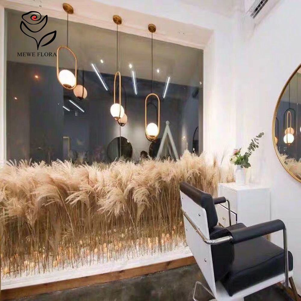 200PCS 자연 건조 푹신한 갈대 꽃 꽃다발 상점 창 - Pampas Grass Decor 리뷰 및 가격