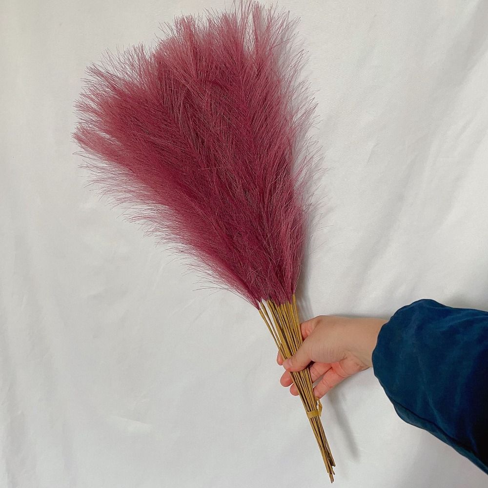 10개/세트 홈데코 푹신한 팜파스그래스 55CM 꽃꽂이 - Pampas Grass Decor 리뷰 및 가격