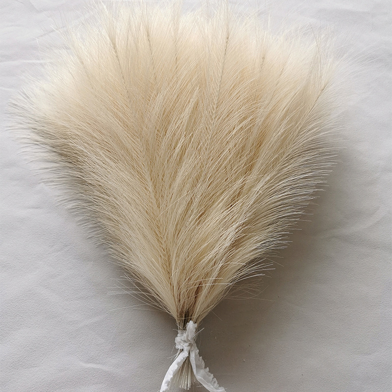 10/20pcs 시뮬레이션 된 리드 깃털 팜파스 잔디  - Pampas Grass Decor 리뷰 및 가격