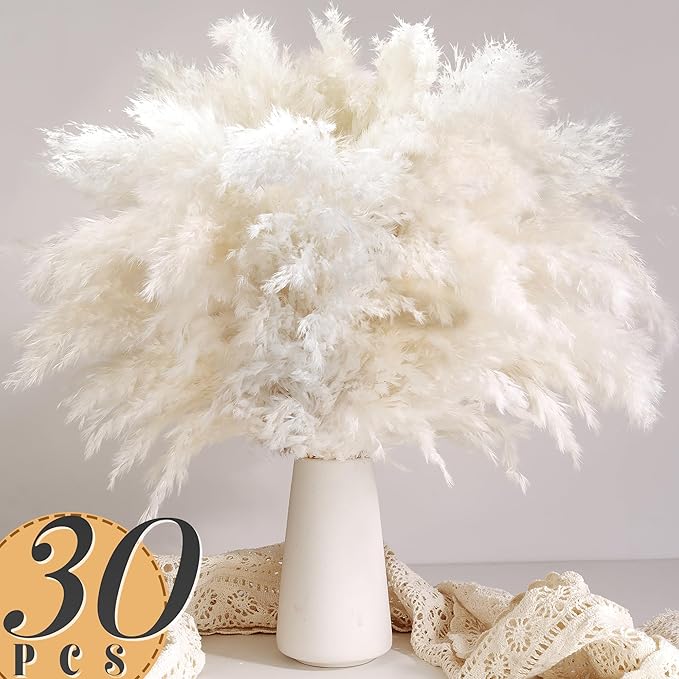 30개입 화이트 팜파스 그래스 홈데코 - 우아한 보헤미 - Pampas Grass Decor 리뷰 및 가격