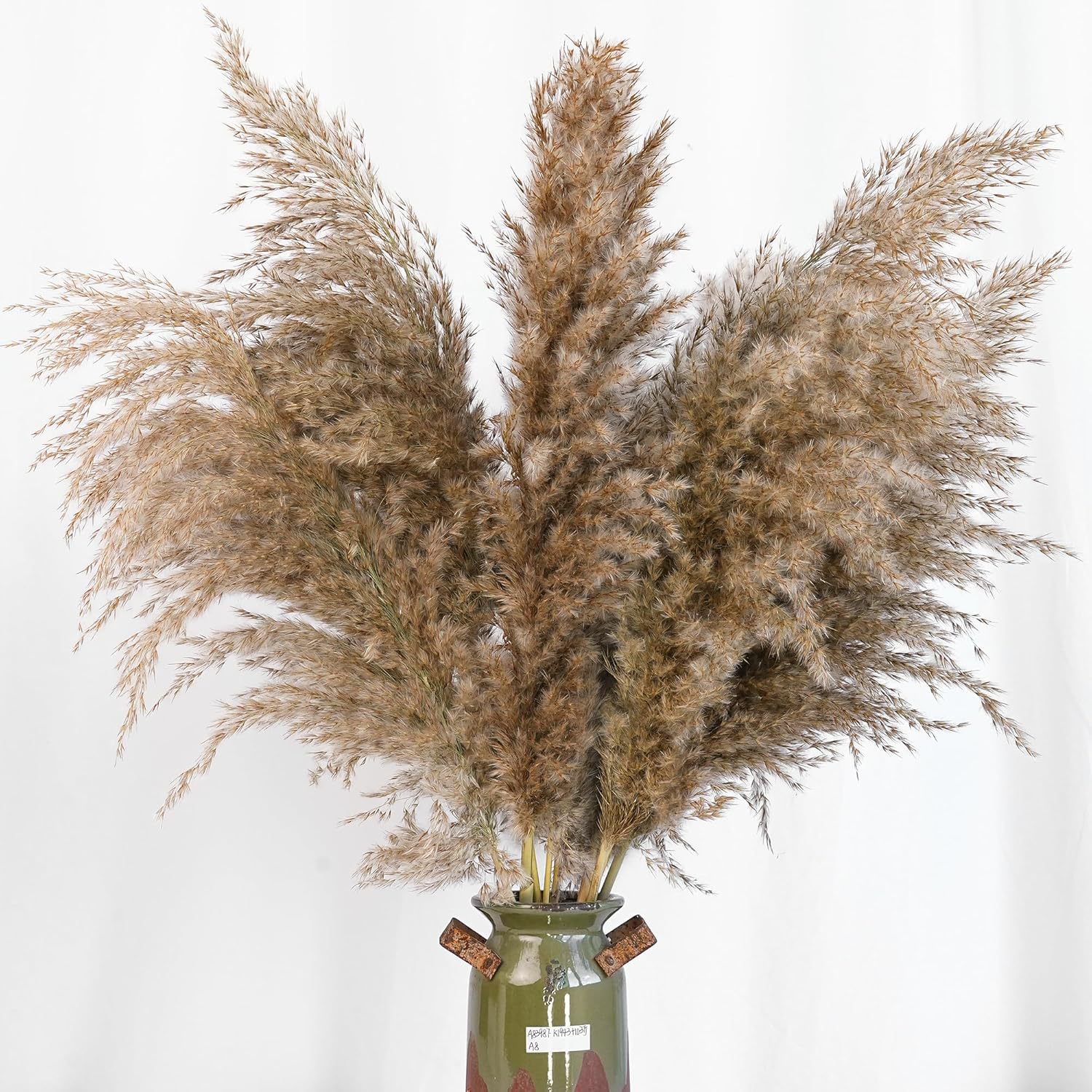 30개입 화이트 팜파스 그래스 홈데코 - 우아한 보헤미 - Pampas Grass Decor 리뷰 및 가격