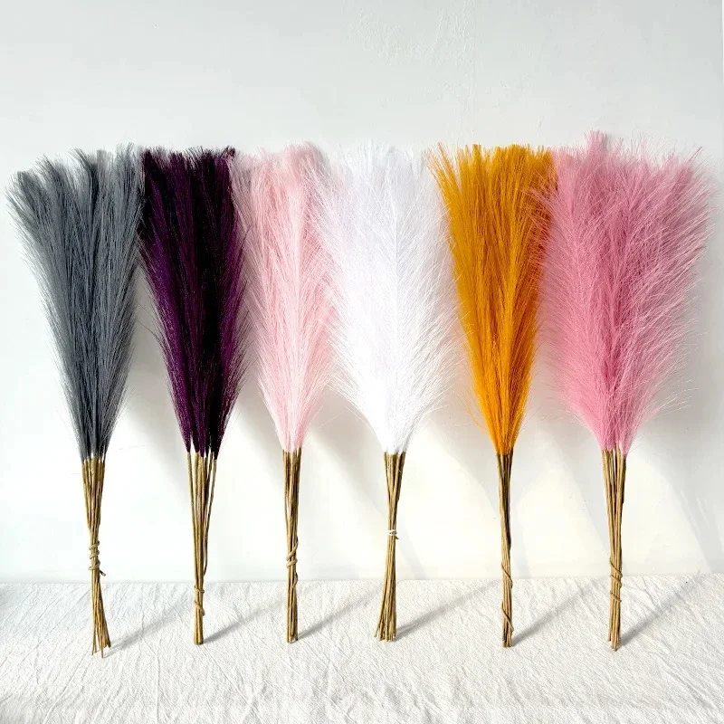 55CM 팜파스그래스 북유럽 보헤미안 스타일 장식, 인 - Pampas Grass Decor 리뷰 및 가격