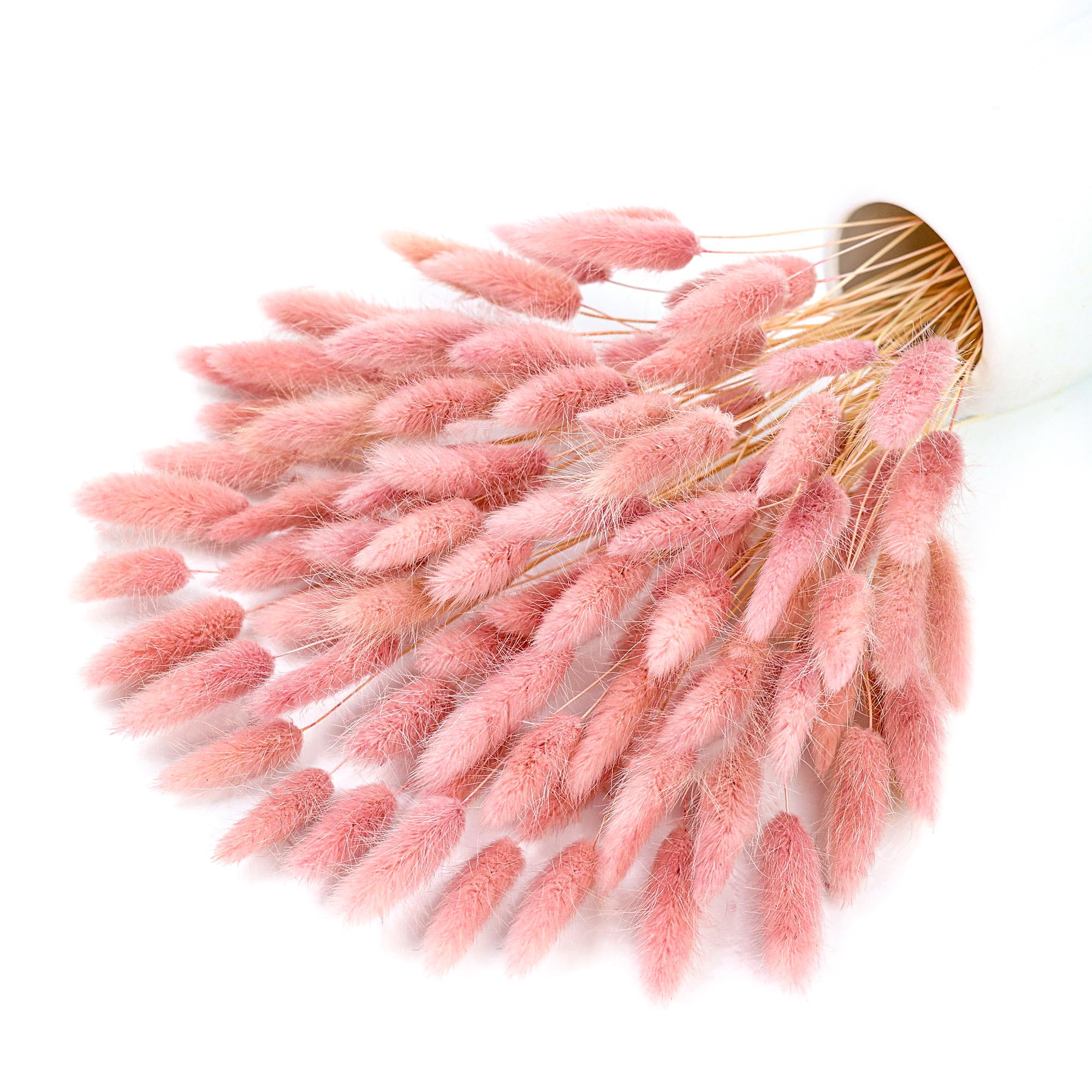 120개의 핑크색 건조 팜파스 헤어풀 장식용 꽃, 보헤 - Pampas Grass Decor 리뷰 및 가격