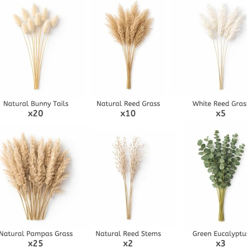 65개 DIY 천연 드라이플라워 묶음 팜파스그래스 버니 - Pampas Grass Decor 리뷰 및 가격