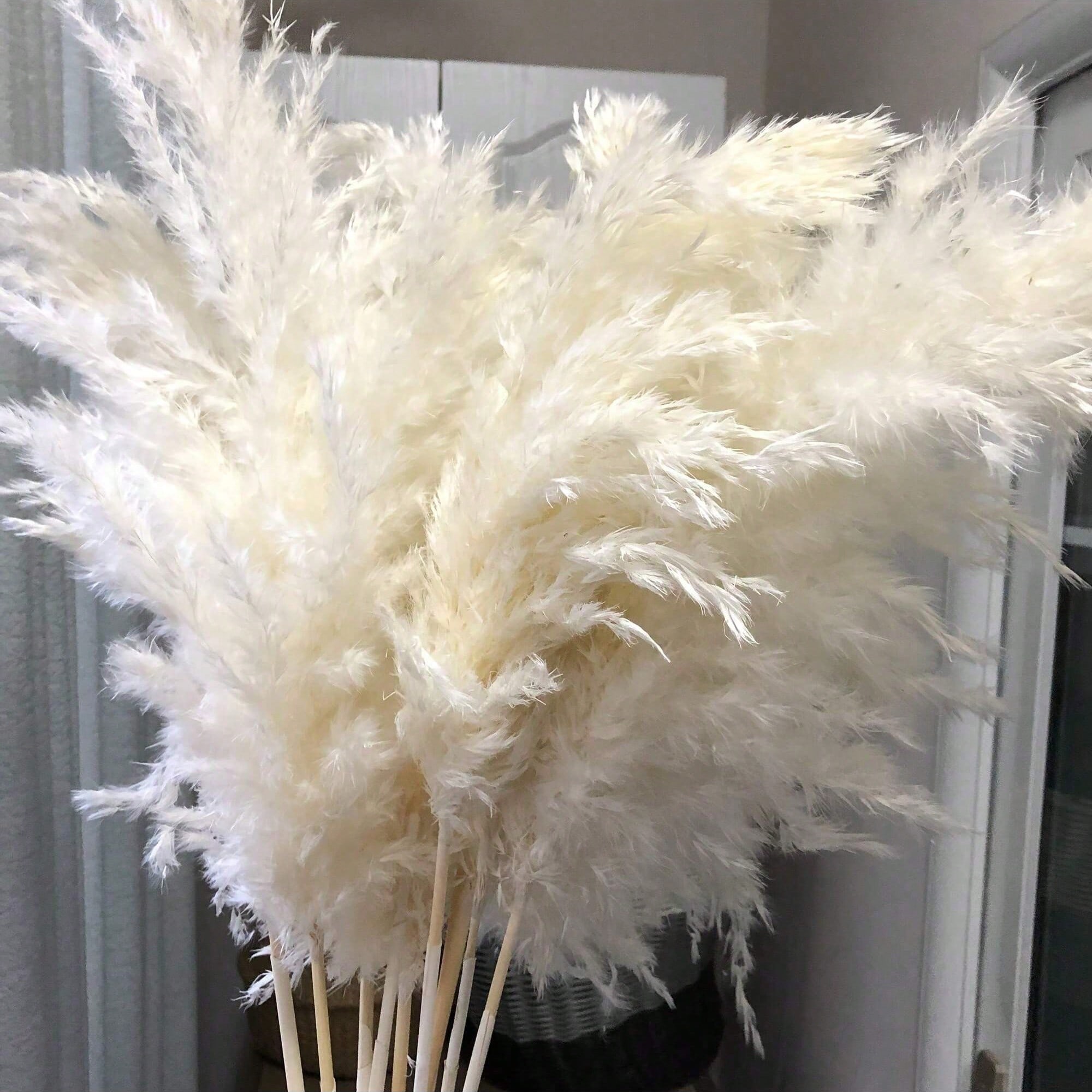 10/20/30개 흰색 인조 팜파스 그래스 장식 17. - Pampas Grass Decor 리뷰 및 가격
