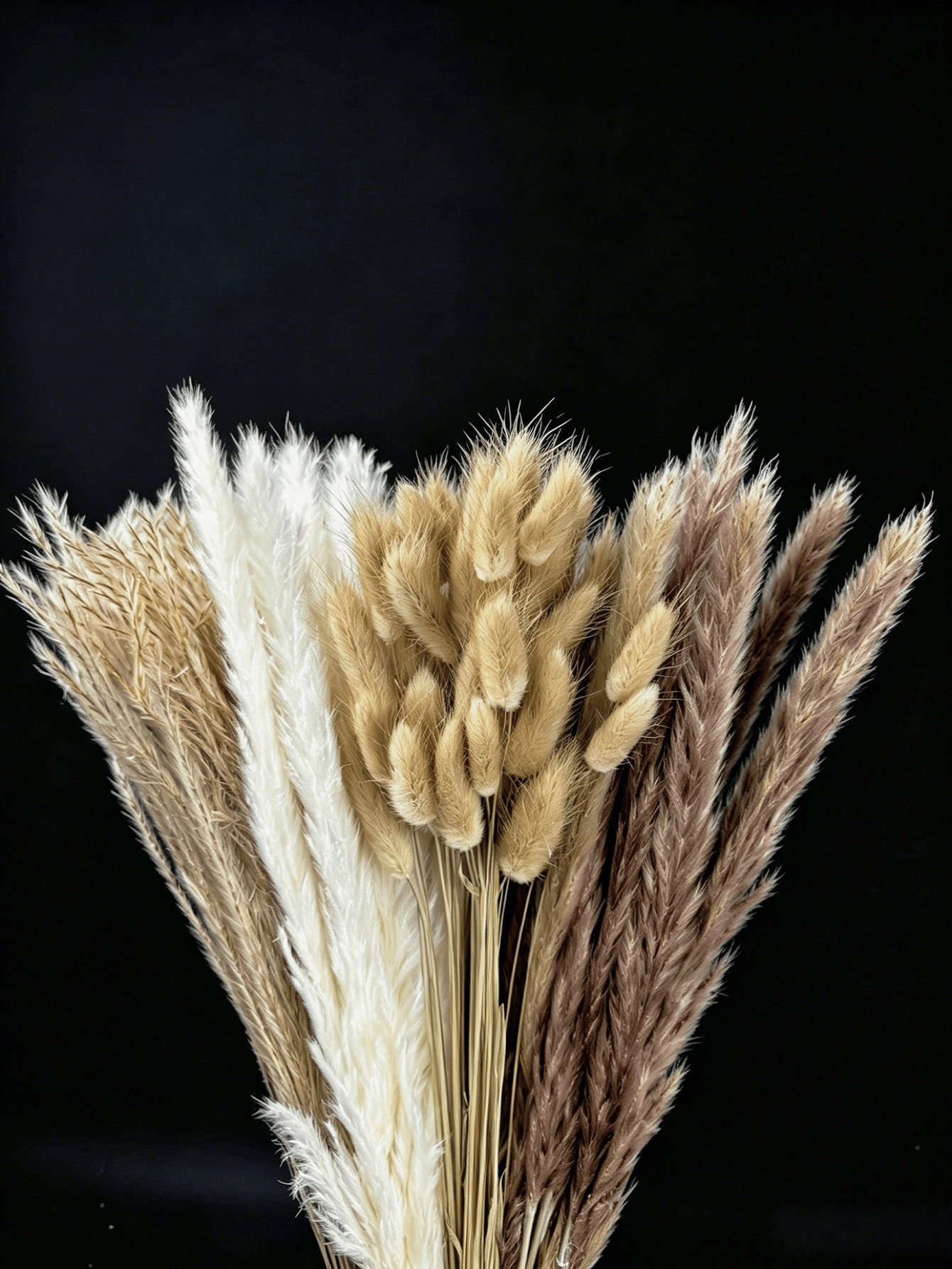 10/20/30개 흰색 인조 팜파스 그래스 장식 17. - Pampas Grass Decor 리뷰 및 가격