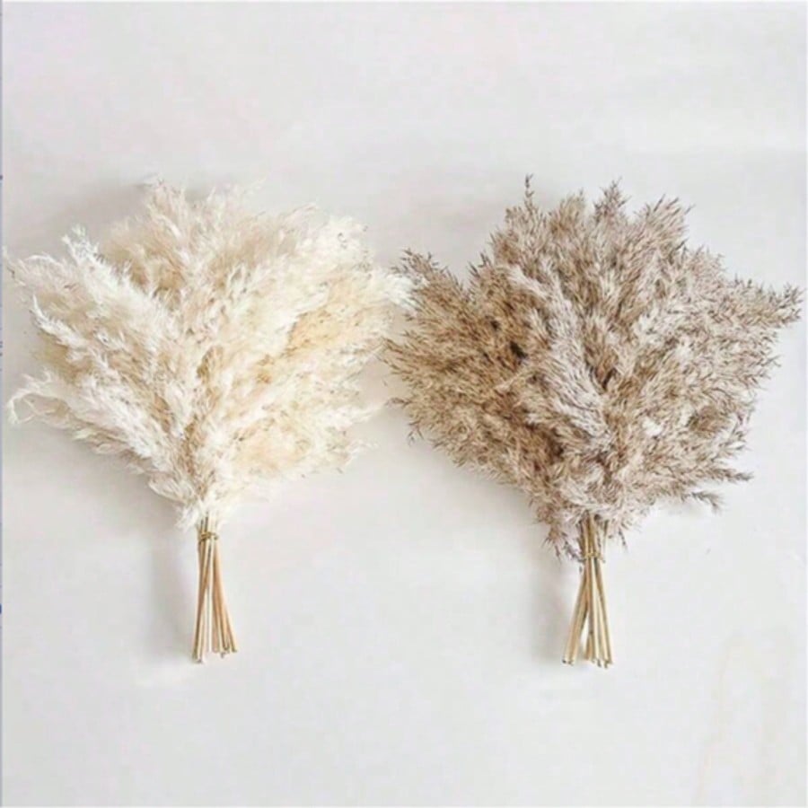 10/20/30개 흰색 인조 팜파스 그래스 장식 17. - Pampas Grass Decor 리뷰 및 가격