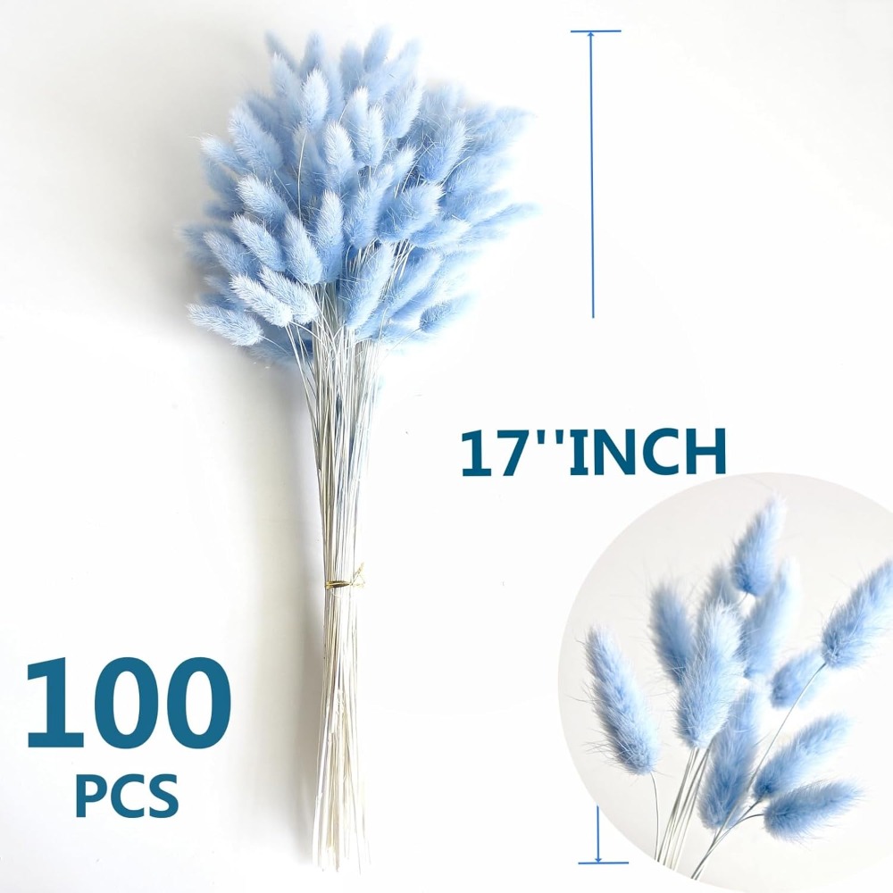 100PCS 블루 토끼 꼬리 잔디 토끼 꼬리 홈 룸 생 - Pampas Grass Decor 리뷰 및 가격