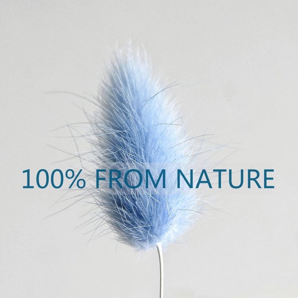 100PCS 블루 토끼 꼬리 잔디 토끼 꼬리 홈 룸 생 - Pampas Grass Decor 리뷰 및 가격